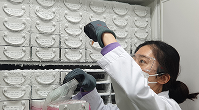photo - Korea Institute of Radiological and Medical Sciences 