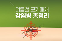 여름철 모기매개 감염병 총정리 사진4