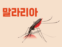 말라리아 관련이미지
