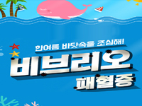 비브리오 패혈증 관련이미지