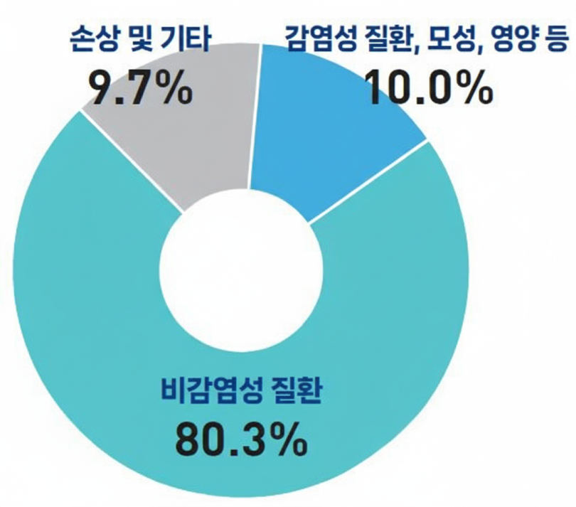 그림입니다.  원본 그림의 이름: 진료비 구성비 (2).png  원본 그림의 크기: 가로 1088pixel, 세로 960pixel