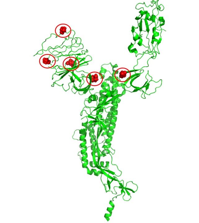 그림입니다.  원본 그림의 이름: CLP00000fbc0002.bmp  원본 그림의 크기: 가로 642pixel, 세로 720pixel
