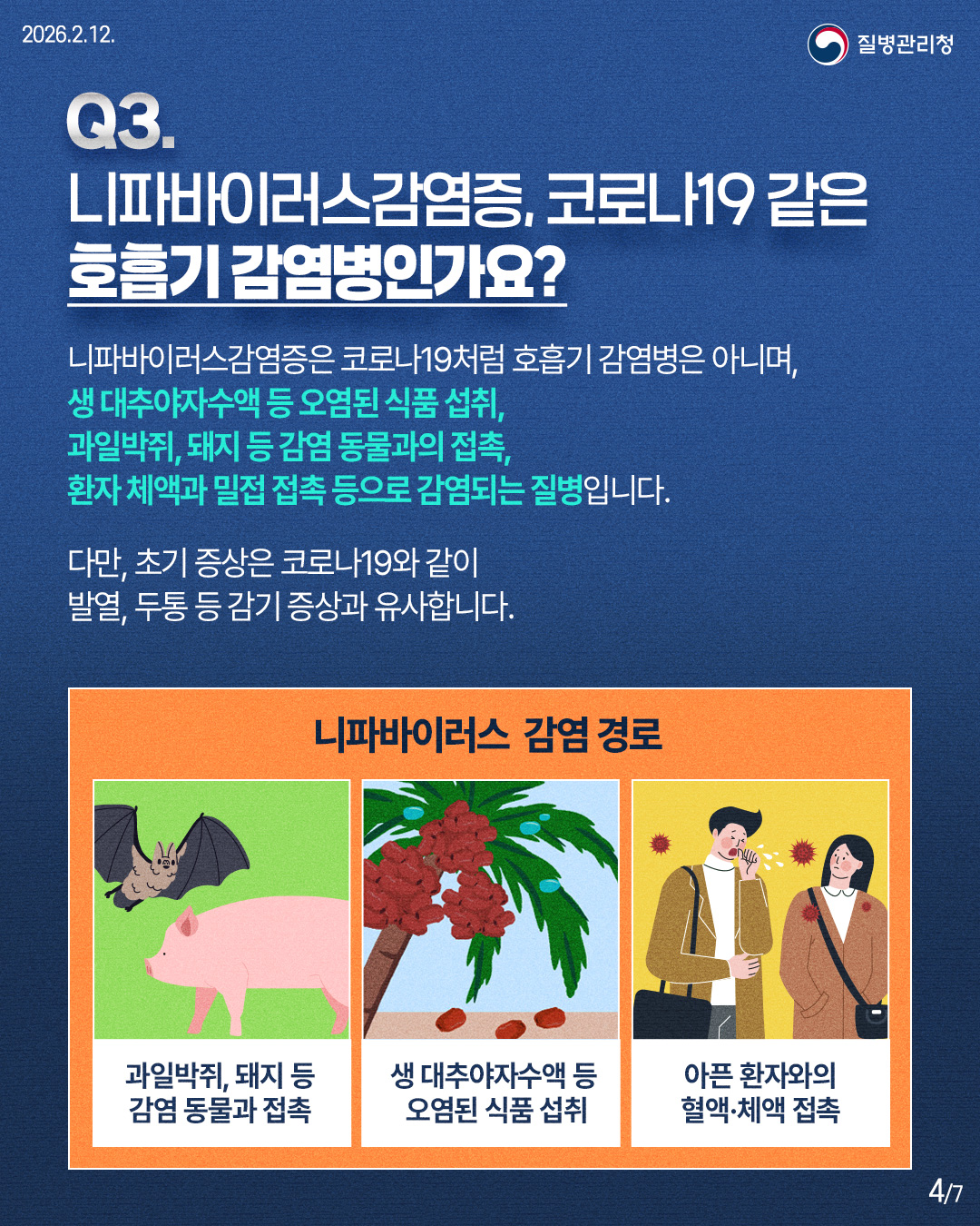 Q3. 니파바이러스감염증, 코로나19 같은 호흡기 감염병인가요? 니파바이러스감염증은 코로나19처럼 호흡기 감염병은 아니며, 생대추야자수액 등 오염된 식품 섭취, 과일박쥐, 돼지 등 감염 동물과의 접촉, 환자 체액과 밀접접촉 등으로 감염되는 질병입니다. 다만, 초기 증상은 코로나19와 같이 발열, 두통 등 감기 증상과 유사합니다. 니파바이러스 감염 경로 과일박쥐, 돼지 등 감염 동물과 접촉 생대추야자수액 등 오염된 식품 섭취 아픈 환자와의 혈액체액 접촉