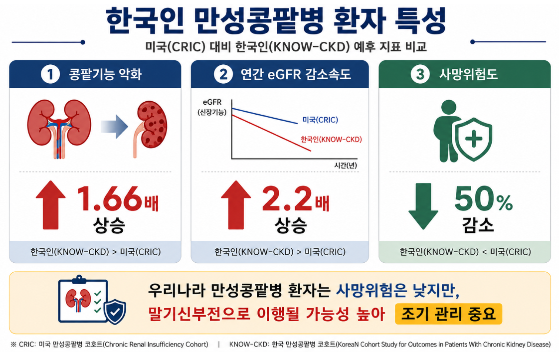 그림입니다.  원본 그림의 이름: {E4766C1B-48D5-42EA-995F-5F4A889DEB27}.png  원본 그림의 크기: 가로 1121pixel, 세로 706pixel