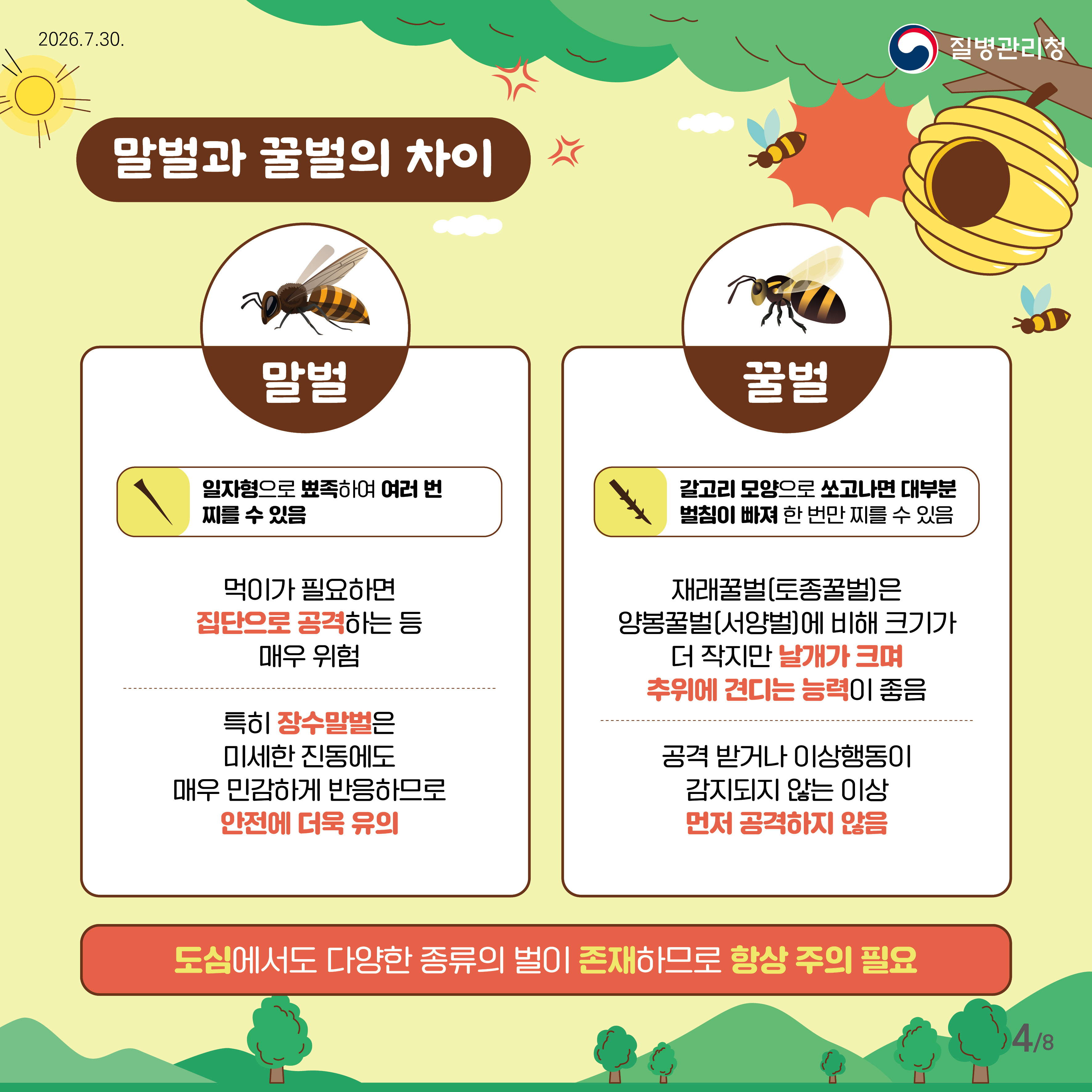 말벌과 꿀벌의 차이 말벌 일자형으로 뾰족하여 여러번 찌를 수 있음 먹이가 필요하면 집단으로 공격하는 등 매우 위험 특히 장수말벌은 미세한 진동에도 매우 민감하게 반응하므로 안전에 더욱 유의 꿀벌 갈고리 모양으로 쏘고나면 대부분 벌침이 빠져 한 번만 찌를 수 있음 재래꿀벌(토종꿀벌)은 양봉꿀벌(서양벌)에 비해 크기가 더 작지만 날개가 크며 추위에 견디는 능력이 좋음 공격 받거나 이상행동이 감지되지 않는 이상 먼저 공격하지 않음 도심에서도 다양한 종류의 벌이 존재하므로 항상 주의 필요