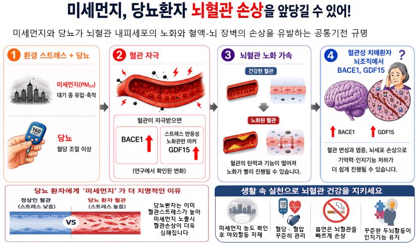 그림입니다.  원본 그림의 이름: CLP0000366cbbc5.bmp  원본 그림의 크기: 가로 826pixel, 세로 480pixel