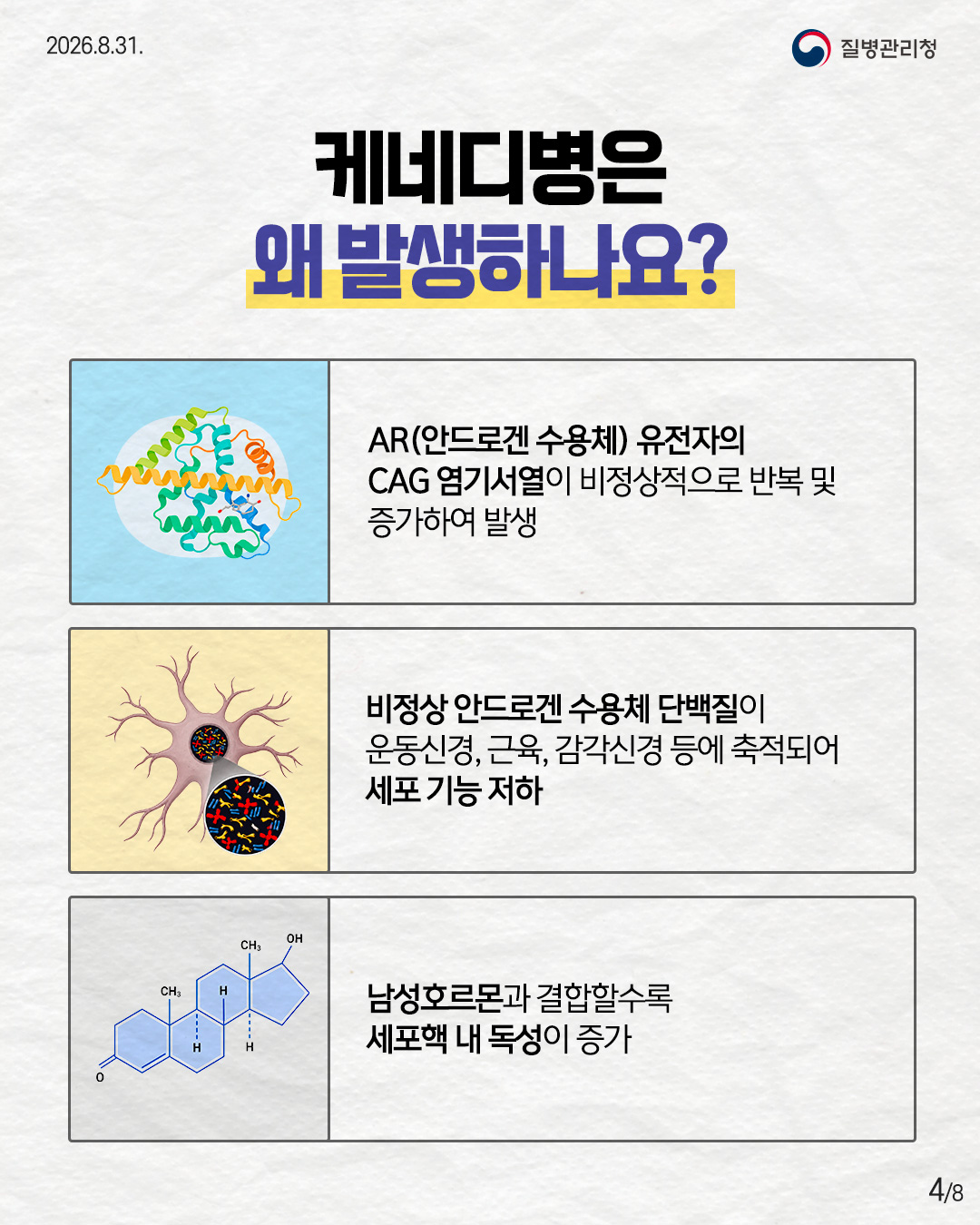 케네디병은  왜 발생하나요? AR(안드로겐 수용체) 유전자의  CAG 염기서열이 비정상적으로 반복 및 증가하여 발생&nbsp; 비정상 안드로겐 수용체 단백질이  운동신경, 근육, 감각신경 등에 축적되어 세포 기능 저하 남성호르몬과 결합할수록  세포핵 내 독성이 증가