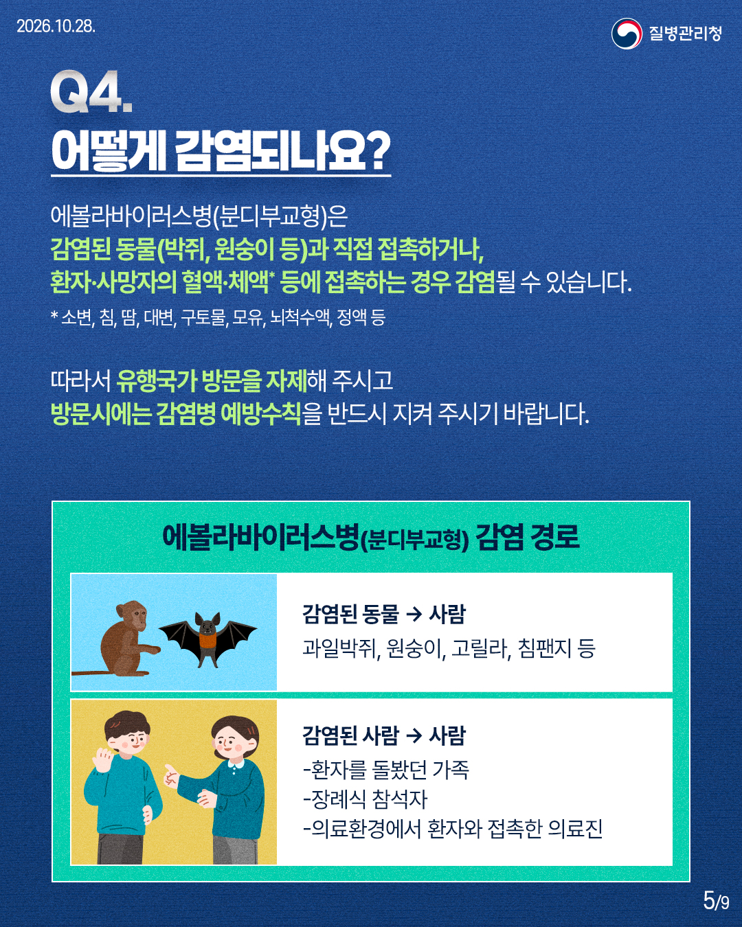 에볼라바이러스병(분디부교형)은 감염된 동물(박쥐, 원숭이 등)과 직접 접촉하거나, 환자&middot;사망자의 혈액&middot;체액* 등에 접촉하는 경우 감염될 수 있습니다. * 소변, 침, 땀, 대변, 구토물, 모유, 뇌척수액, 정액 등 따라서 유행국가 방문을 자제해 주시고 방문시에는 감염병 예방수칙을 반드시 지켜 주시기 바랍니다. 에볼라바이러스병(분디부교형) 감염 경로 감염된 동물 &rarr; 사람 과일박쥐, 원숭이, 고릴라, 침팬지 등 감염된 사람 &rarr; 사람 - 환자를 돌봤던 가족 - 장례식 참석자 - 의료환경에서 환자와 접촉한 의료진