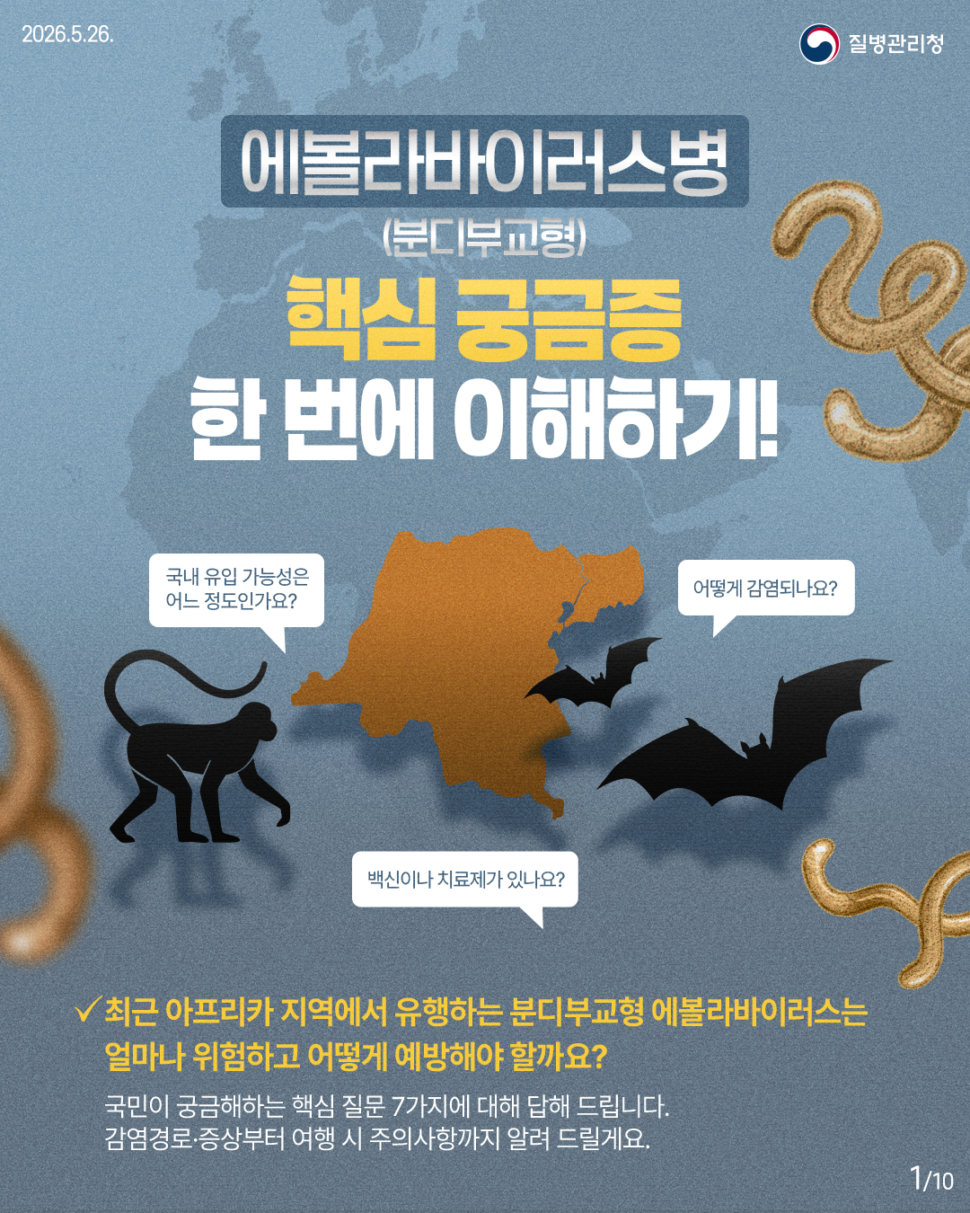 에볼라바이러스병(분디부교형) 핵심 궁금증 한 번에 이해하기!