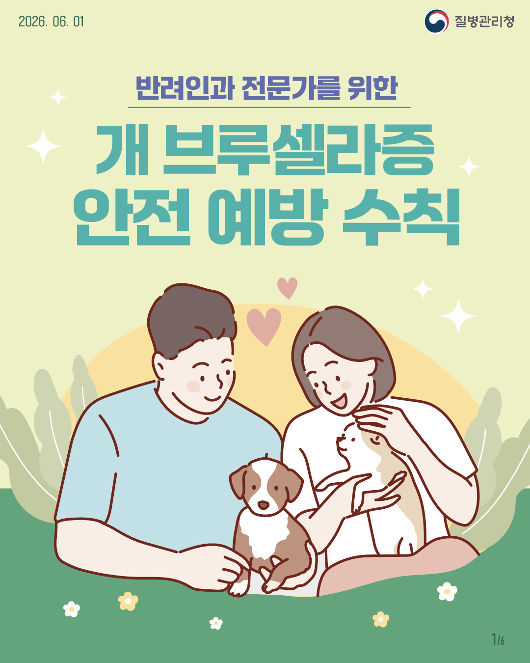 개 브루셀라증 안전 예방 수칙