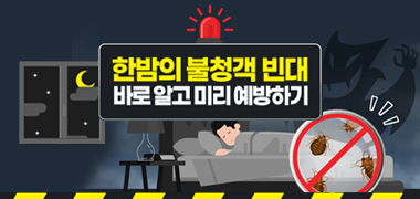 빈대 바로알기