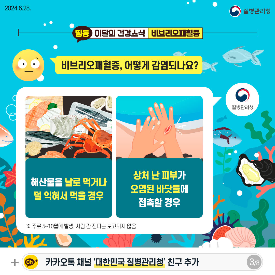 비브리오패혈증, 어떻게 감염되나요? - 해산물을 날로 먹거나 덜 익혀서 먹을 경우 - 상처 난 피부가 오염된 바닷물에 접촉할 경우 ※ 주로 5~10월에 발생, 사람 간 전파는 보고되지 않음