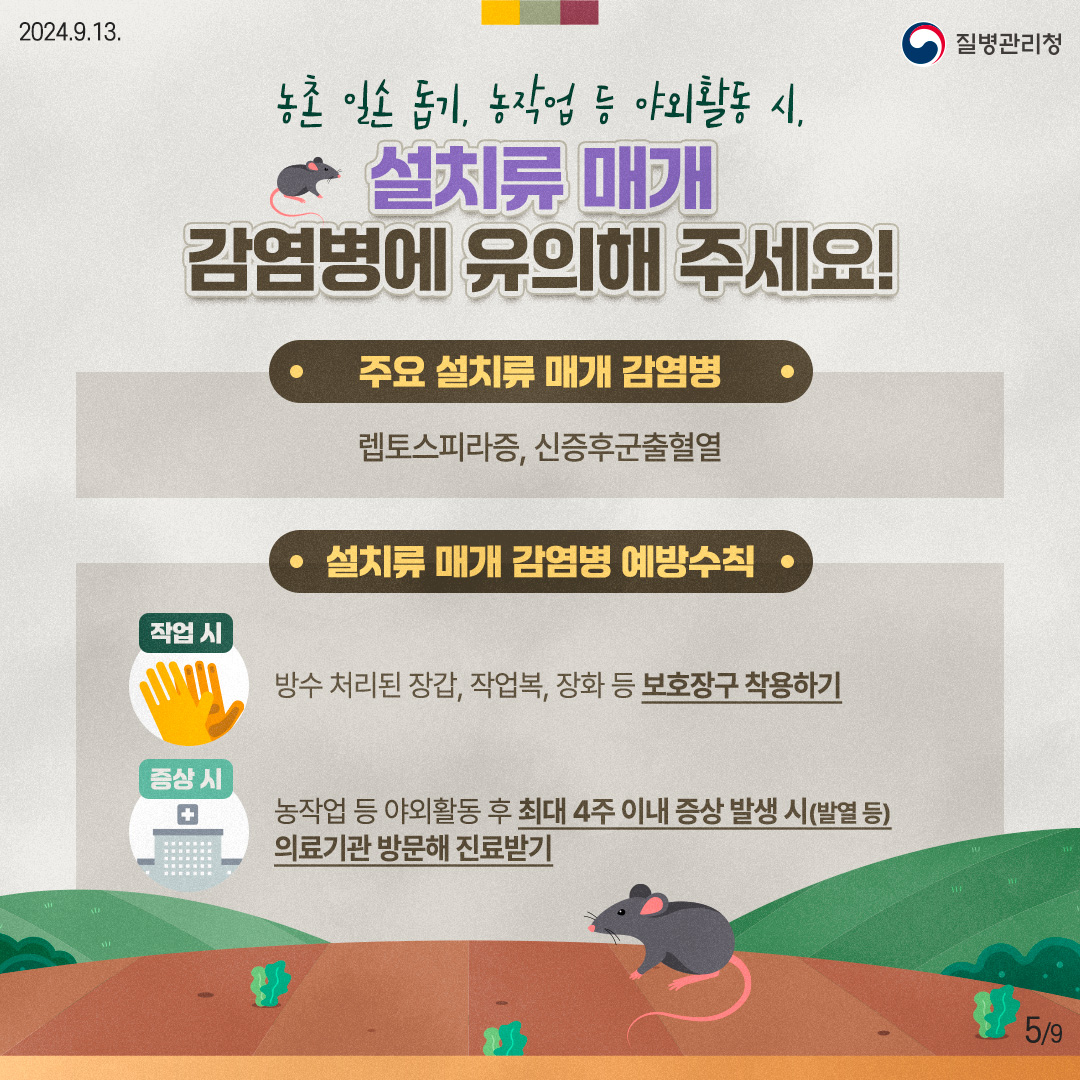 농촌 일손 돕기, 농작업 등 야외활동 시, 설치류 매개 감염병에 유의해 주세요! [주요 설치류 매개 감염병] 렙토스피라증, 신증후군출혈열 [설치류 매개 감염병 예방수칙] (작업 시) 방수 처리된 장갑, 작업복, 장화 등 보호장구 착용하기 (증상 시) 농작업 등 야외활동 후 최대 4주 이내 증상 발생 시(발열 등) 의료기관 방문해 진료받기