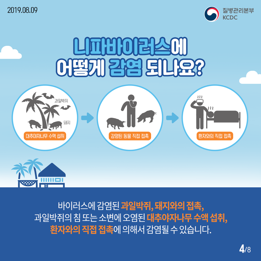 2019년 8월 9일 질병관리본부KCDC 니파바이러스에 어떻게 감염 되나요? 대추야자나무 수액 섭취 과일박쥐, 돼지, 감염된 동물 집적 접촉, 환자와의 집접 접촉, 바이러스에 감염된 과일박쥐, 돼지와의 접촉, 과일박쥐의 침 또는 소변에 오염된 대추야자나무 수액 섭취, 환자와의 직접 접촉에 의해서 감염될 수 있습니다. 8페이지 중 4페이지