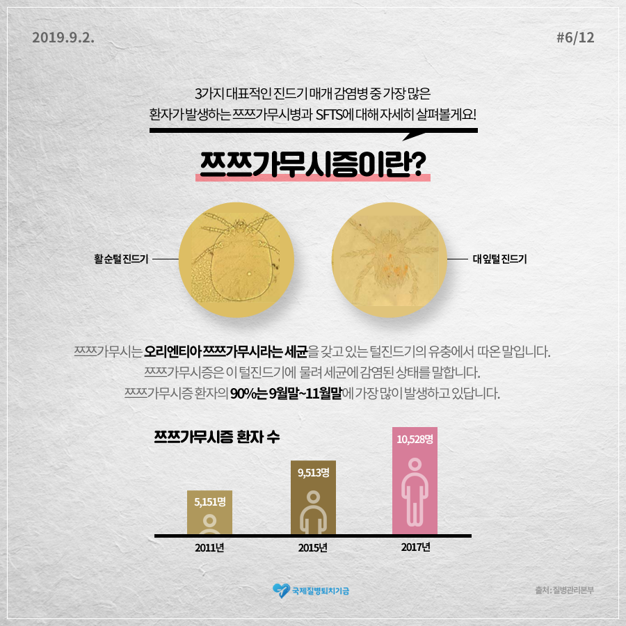 2019년 9월 2일 3가지 대표적인 진드기 매개 감염병 중 가장 많은 환자가 발생하는 쯔쯔가무시병과 SFTS에 대해 자세히 살펴볼게요! [쯔쯔가무시증이란..?] 쯔쯔가무시는 오리엔티아 쯔쯔가무시라는 세균을 갖고 있는 털진드기의 유충에서 따온 말입니다. 쯔쯔가무시증은 이 털진드기에 물려 세균에 감염된 상태를 말합니다. 쯔쯔가무시증 환자의 90%는 9월말~11월말에 가장 많이 발생하고 있답니다. 출처: 질병관리본부 12페이지 중 6페이지 국제질병퇴치기금