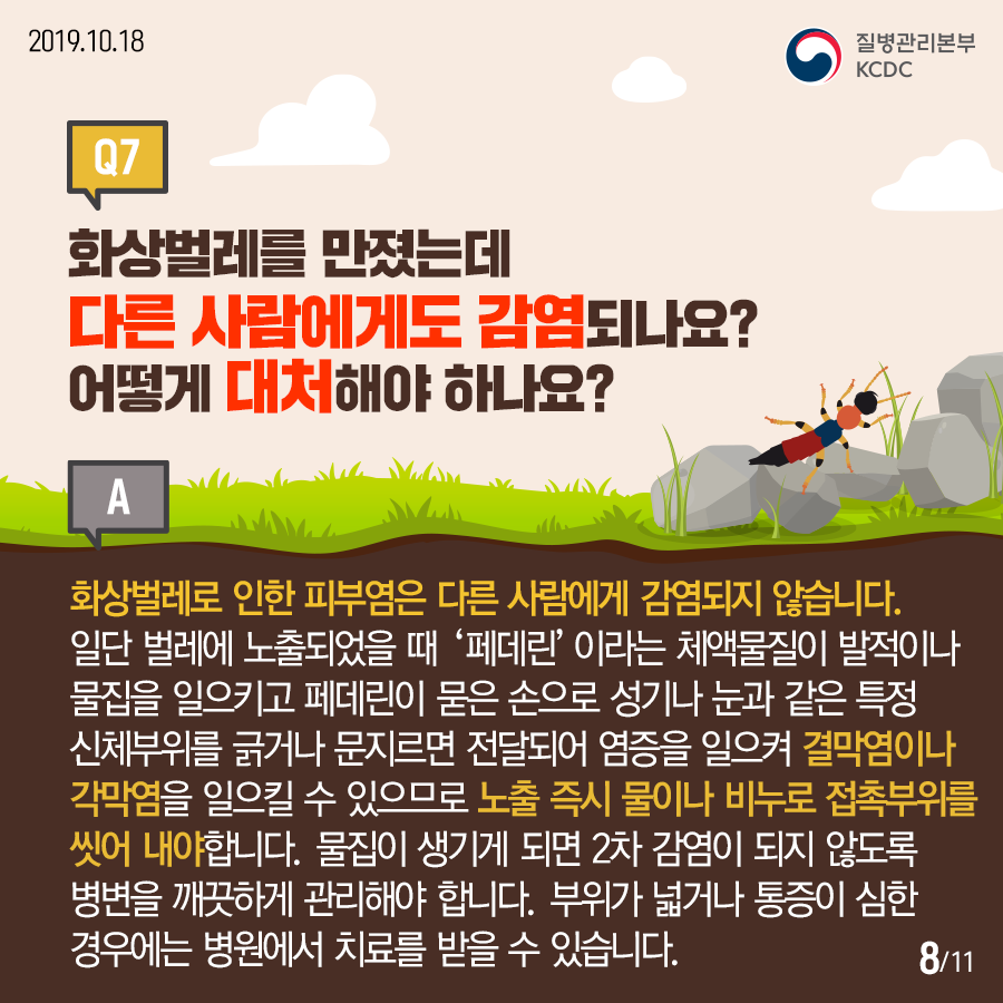 2019.10.18.질병관리본부KCDCQ7. 화상벌레를 만졌는데 다른 사람에게도 감염되나요? 어떻게 대처해야 하나요? A. 화상벌레로 인한 피부염은 다른 사람에게 감염되지 않습니다. 일단 벌레에 노출되었을 때 ‘페데린’이라는 체액물질이 발적이나 물집을 일으키고 페데린이 묻은 손으로 성기나 눈과 같은 특정 신체부위를 긁거나 문지르면 전달되어 염증을 일으켜 결막염이나 각막염을 일으킬 수 있으므로 노출 즉시 물이나 비누로 접촉부위를 씻어 내야합니다. 물집이 생기게 되면 2차 감염이 되지 않도록 병변을 깨끗하게 관리해야 합니다. 부위가 넓거나 통증이 심한 경우에는 병원에서 치료를 받을 수 있습니다.12페이지중8페이지