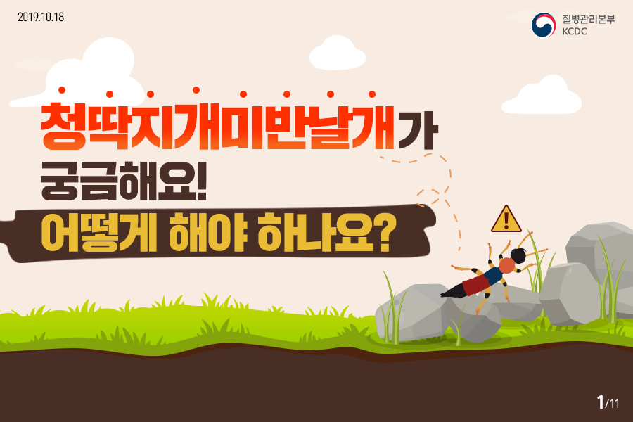 2019.10.18.질병관리본부KCDC청딱지개미반날개가 궁금해요! 어떻게 해야 하나요?12페이지중1페이지