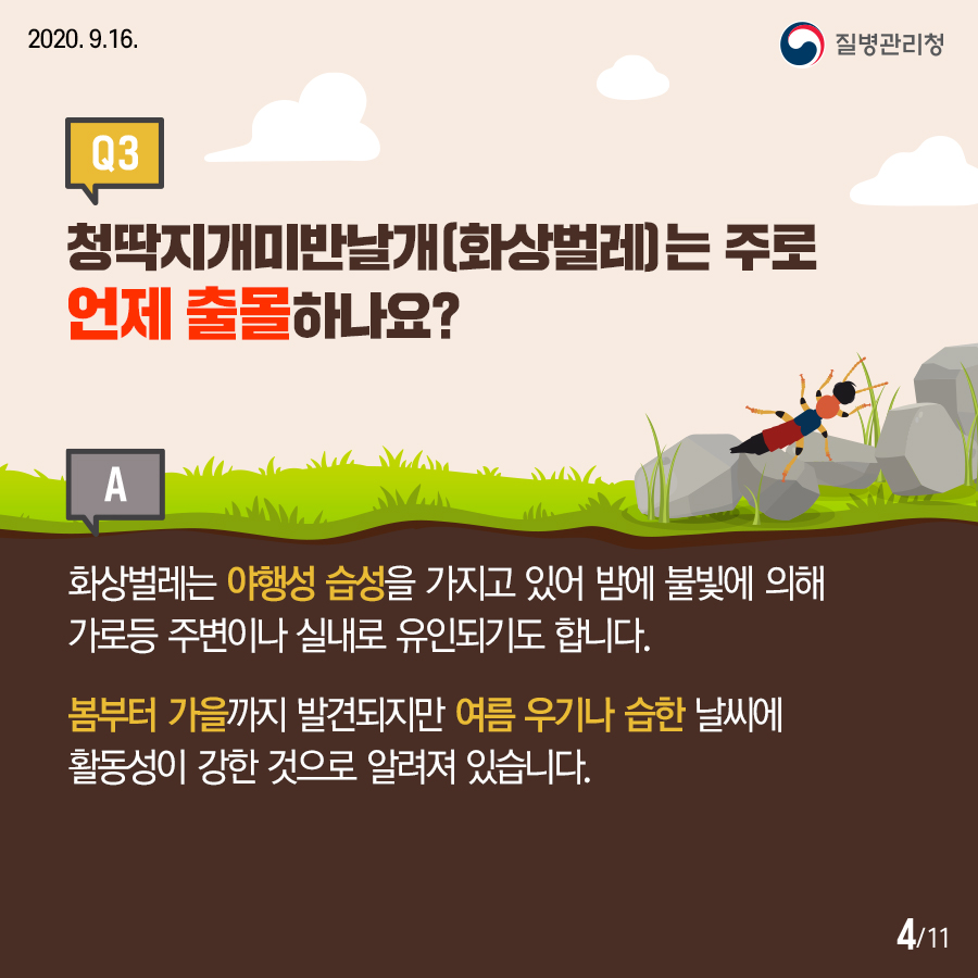 2020.9.16. 질병관리청 Q3.청딱지개미반날개(화상벌레)는 주로 언제 출몰하나요? A.화상벌레는 야행성 습성을 가지고 있어 밤에 불빛에 의해 가로등 주변이나 실내로 유인되기도 합니다. 봄부터 가을까지 발견되지만 여름 우기나 습한 날씨에 활동성이 강한 것으로 알려져 있습니다. 11페이지 중 4페이지