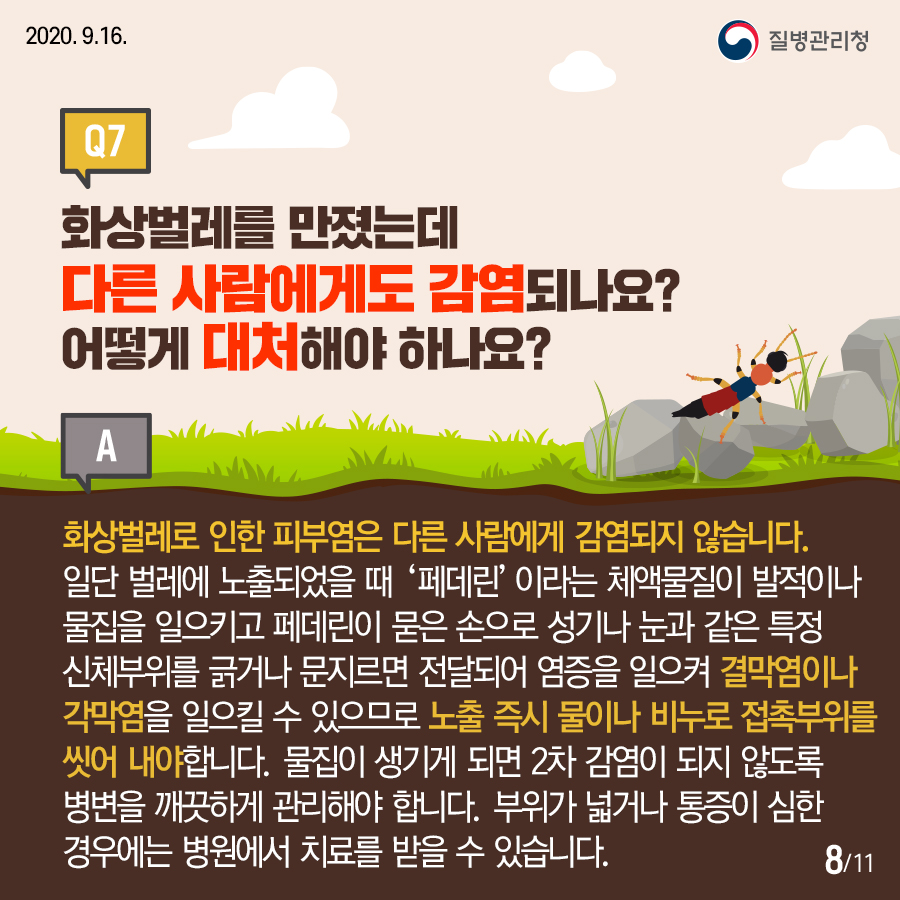 2020.9.16. 질병관리청 Q7.화상벌레를 만졌는데 다른 사람에게도 감염이 되나요? 어떻게 대처해야 하나요? A.화상벌레로 인한 피부염은 다른 사람에게 감염되지 않습니다. 일단 벌레에 노출되었을 때 '페데린'이라는 체액물질이 발적이나 물집을 일으키고 페데린이 묻은 손으로 성기나 눈과 같은 특정 신체부위 긁거나 문지르면 전달되어 염증을 일으켜 결막염이나 각막염을 일으킬 수 있으므로 노출 즉시 물이나 비누로 접촉부위를 씻어 내야합니다. 물집이 생기게 되면 2차 감염이 되지 않도록 병변을 깨끗하게 관리해야 합니다. 부위가 넓거나 통증이 심한 경우에는 병원에서 치료를 받을 수 있습니다. 11페이지 중 8페이지