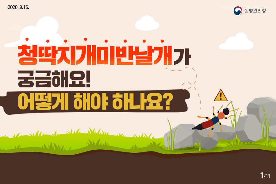 2020.9.16. 질병관리청 청딱지개미반날개가 궁금해요! 어떻게 해야 하나요? 11페이지 중 1페이지
