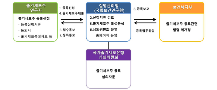 줄기세포주 연구자 줄기세포주 등록신청 등록신청서류 동의서 줄기세포특성자료 등 1. 등록신청 4. 줄기세포주 제출 3. 접수통보 7. 등록통보 질병관리청(국립보건연구원) 2. 신청서류 검토 5. 줄기세포주 특성분석 6. 심의위원회 운영 홈페이지 운영 8. 등록보고 등록업무위임 보건복지부 줄기세포주 등록관련 법령 제개정 국가줄기세포은행 심의위원회 즐기세포주 등록 심의자문