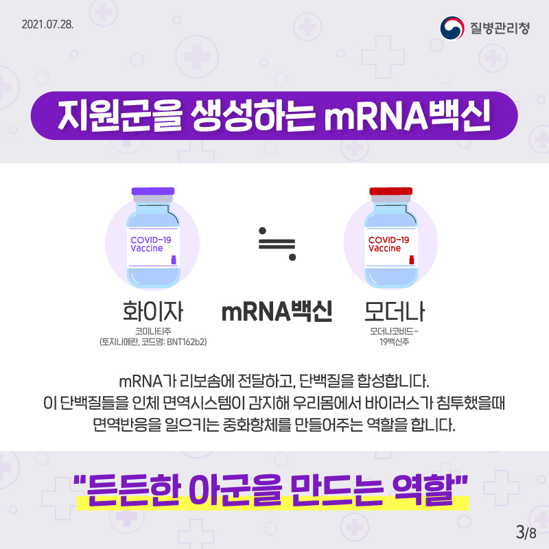 질병관리청 2021.07.28. 지원군을 생성하는 mRNA 백신 화이자(코미니티주,토지나메란, 코드명: BNT162b2)와 모더나(모더나코비드-19 백신주)는 mRNA 백신으로 유사합니다. mRNA가 리보솜에 전달하고, 단백질을 합성합니다. 이 단백질들을 인체 면역시스템이 감지해 우리몸에서 바이러스가 침투했을 때 면역반응을 일으키는 중화항체를 만들어주는 역할을 합니다. 든든한 아군을 만드는 역할