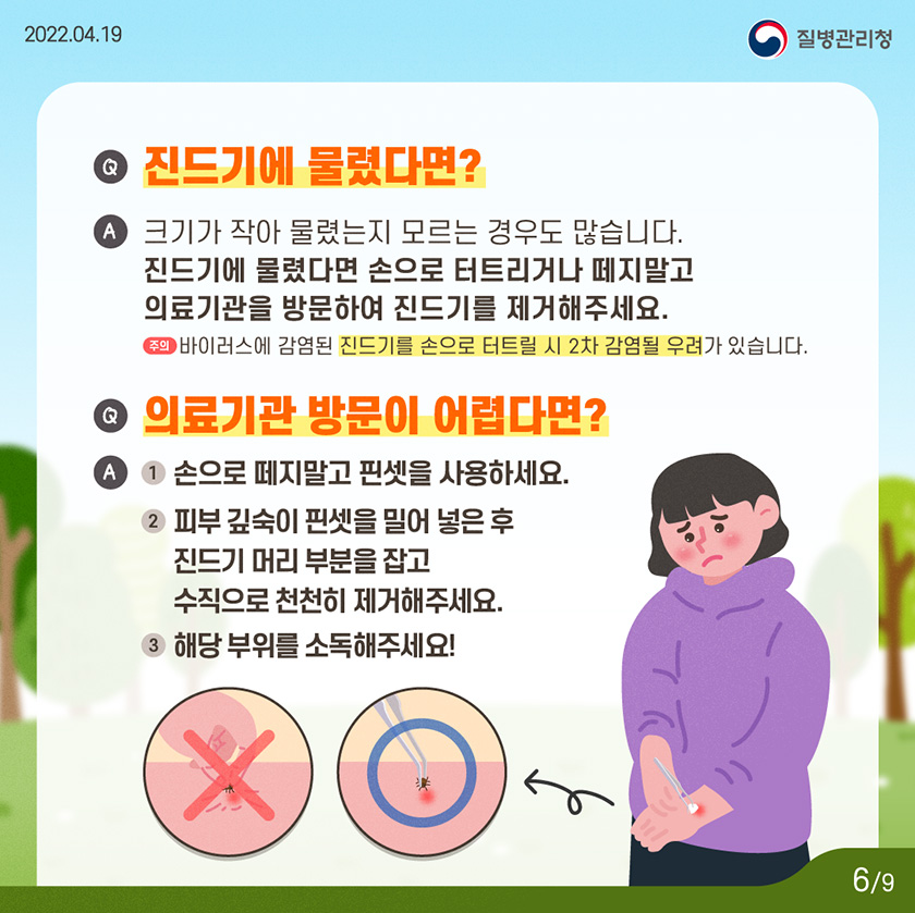 [2022년 4월 19일 질병관리청] Q. 진드기에 물렸다면? A. 크기가 작아 물렸는지 모르는 경우도 많습니다. 진드기에 물렸다면 손으로 터트리거나 떼지말고 의료기관을 방문하여 진드기를 제거해주세요. (*주의) 바이러스에 감염된 진드기를 손으로 터트릴 시 2차 감염될 우려가 있습니다. Q. 의료기관 방문이 어렵다면?. A. 1.손으로 떼지말고 핀셋을 사용하세요. 2.피부 깊숙이 핀셋을 밀어 넣은 후 진드기 머리 부분을 잡고 수직으로 천천히 제거해주세요. 3.해당 부위를 소독해주세요! [9페이지 중 6페이지]