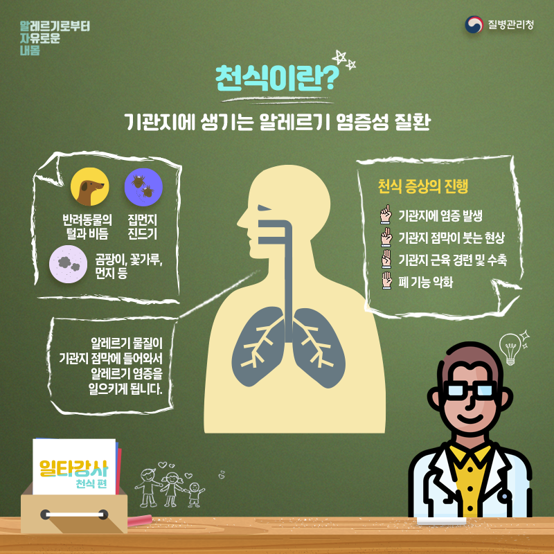 천식이라? 기관지에 생기는 알레르기 염증성 질환, 반려동물의 털과 비듬, 집먼지 진드기, 곰팡이 꽃가루 먼지 등, 천식 증상의 진행 기관지에 염증 발생, 기관지 점막이 붓는 현상, 기관지 근육 경련 및 수축, 폐 기능 악화, 알레르기 물질이 기관지 점막에 들어와서 알레르기 염증을 일으키게 됩니다.