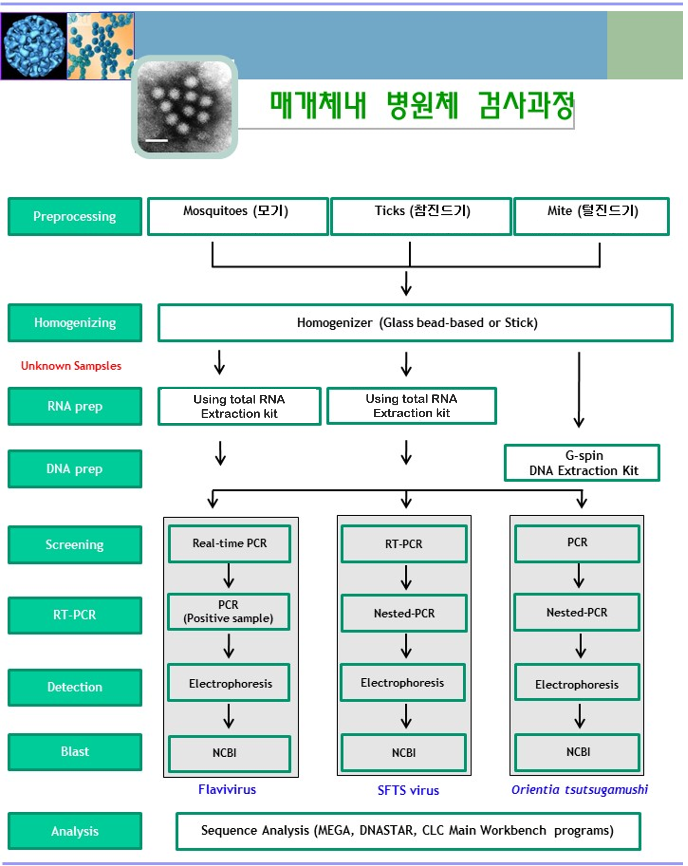 체계도