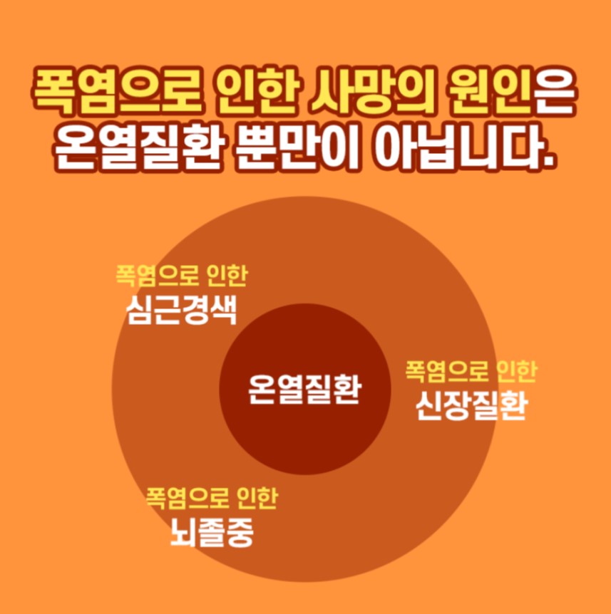  폭염으로 인한 사망의 원인은 온열질환 뿐만이 아닙니다. 심근경색, 신장질환, 뇌졸중