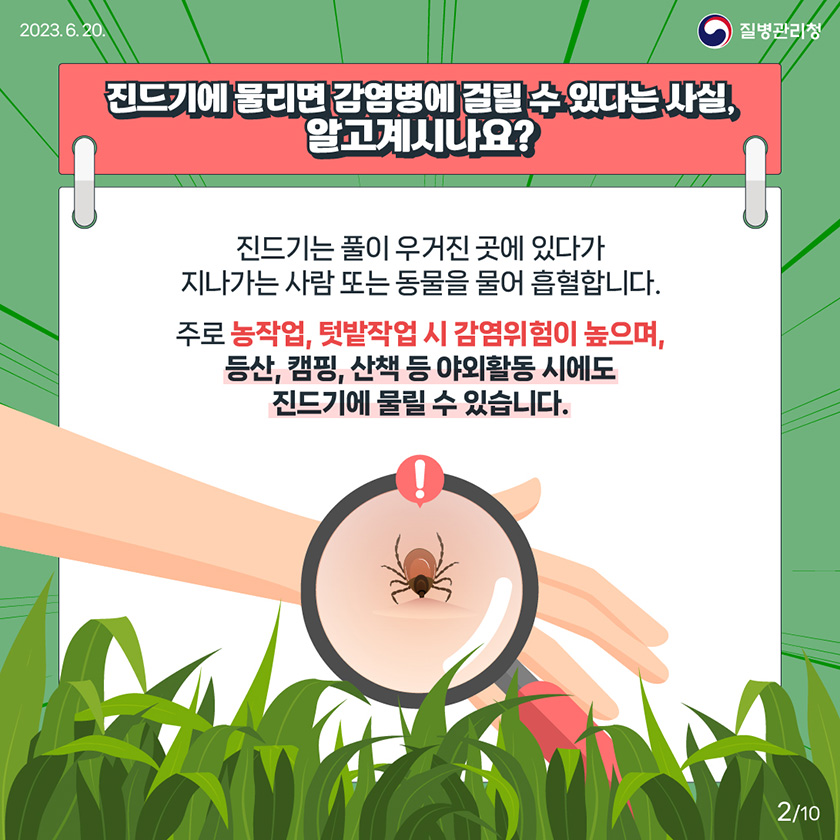 [2023년 6월 30일 질병관리청] 진드기에 물리면 감염병에 걸릴 수 있다는 사실, 알고 계시나요? 진드기는 풀이 우거진 곳에 있다가 지나가는 사람 또는 동물을 물어 흡혈합니다. 주로 농작업, 텃밭작업 시 감염위험이 높으며, 등산, 캠핑, 산책 등 야외활동 시에도 진드기에 물릴 수 있습니다. [10페이지 중 2페이지]