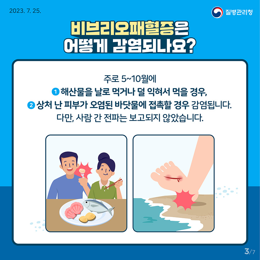 [2023년 7월 25일 질병관리청] 비브리오패혈증은 어떻게 감염되나요? 주로 5~10월에 ① 해산물을 날로 먹거나 덜 익혀서 먹을 경우, ② 상처 난 피부가 오염된 바닷물에 접촉할 경우 감염됩니다. 다만, 사람 간 전파는 보고되지 않았습니다. [7페이지 중 3페이지]