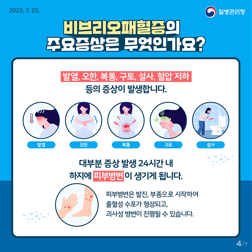 [2023년 7월 25일 질병관리청] 비브리오패헐증의 주요증상은 무엇인가요? 발열, 오한, 복통, 구토, 설사, 혈압 저하 등의 증상이 발생합니다. 발열. 오한. 복통. 구토. 설사. 대부분 증상 발생 24시간 내 하지에 피부병변이 생기게 됩니다. 피부병변은 발진, 부종으로 시작하여 출혈성 수포가 형성되고, 괴사성 병변이 진행될 수 있습니다. [7페이지 중 4페이지]