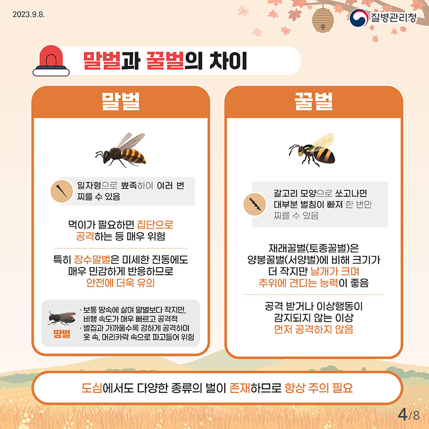 벌쏘임 예방법 벌쏘임 발생 현황 최근 5년간(17넌~21년) 월별 발생 건수 특히 벌초, 가을 산행 등으로 8월~9월에 다수 발생하나, 기온이 높아 10월 까지도 주의 필요 1월: 18 2월:21 3월:58 4월:163 5월:279 6월:470 7월: 1043 8월: 1350 9월 1380 10월: 509 11월 258 12월: 19 출처:질병관리청 응급실손상환자심층조사 23개병원 응급실 방문환자 벌쏘임 예방 수칙 야외 활동 전 벌 쏘임 관련 안전교육 실시 야외 활동 장소에 벌집이 있는지 사전에 확인 벌 쏘임 사고 대처를 위한 응급 처치법 숙지 및 비상용품 챙기기 119출동 대비를 위한 활동 장소 위치 파악하기 향수, 화장품, 헤어스프레이 자제하기 긴 옷, 긴 바지를 입고 어두운 옷보다 밝은색 옷 입기 공격성: 검은색> 갈색> 빨간색> 초록색> 노란색 모기약 스프레이 등을 준비하기 벌집을 건드렸을 경우 몸을 낮추고 20m 이상 빠르게 뛰기 * 벌집 근처에 있으면 벌의 공격성이 줄어들지 않아 더 위험 말벌과 꿀벌의 차이 말벌 일자형으로 뾰족하여 여러번 찌를 수 있음 먹이가 필요하면 집단으로 공격하는 등 매우 위험 특히 장수말벌은 미세한 진동에도 매우 민감하게 반응하므로 안전에 더욱 유의 땅벌 보통 땅소겡 살며 말벌보다 작지만, 비행속도가 매우 빠르고 공격적 벌집과 가까울수록 강하게 공격하며 옷속, 머리카락 속으로 파고들어 위험 꿀벌 갈고리 모양으로 쏘고나면 대부분 벌침이 빠져 한 번만 찌를 수 있음 재래꿀벌(토종꿀벌)은 양봉꿀벌(서양벌)에 비해 크기가 더 작지만 날개가 크며 추위에 견디는 능력이 좋음 공격 받거나 이상행동이 감지되지 않는 이상 먼저 공격하지 않음 도심에서도 다양한 종류의 벌이 존재하므로 항상 주의 필요 벌 쏘임 응급처치 방법 신용카드 등으로 환부의 벌침 제거 얼음주머니 등 차가운 것으로 붓지 않게 하고 증상이 악화되는 지 경과 관찰 손 또는 핀셋을 이용하여 벌침을 제거하는 것은 벌침을 짜서 벌 독이 더욱 체내로 흡수될 수 있는 위험이 있으므로, 이용하지 않도록 해야함 벌쏘임 시 나타나는 증상 통증 피부가려움 부기 식은땀 두통 구토 어지러움증 호흡곤란 의식 저하 등 사람에 따라 아나필락시스(알레르기 과민반응) 발생 통증이 지속되거나 아나필락시스 발생시 신속하게 병원으로 이동 아나필락시스 증상이란? 피부 두드러기 가려움증 홍조 입술 혀 목젖의 부종 호흡기 코막힘 콧물 재채기 기침 쉰 목소리 호흡곤란 가슴 답답함 쌕쌕소리 신경 안절부절 못함 실신 의식저하 심혈관 저혈압 심장마비 빠른맥박 소화기 복통 메스꺼움 구토 설사 일상생활에서 벌 쏘임 예방으로 즐겁고 건강한 삶을 보내세요.