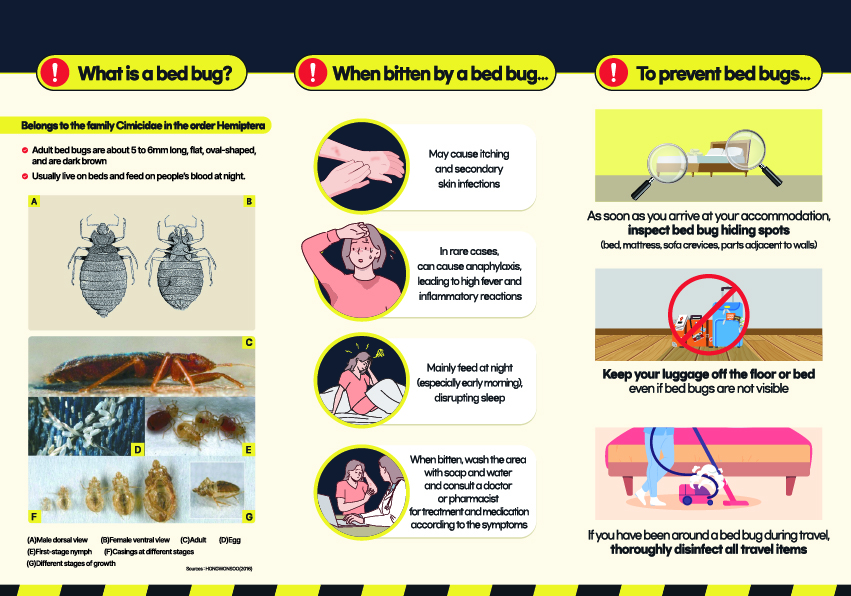 (back) What is a bed bug? Belongs to the family Cimicidae in the order Hemiptera Adult bed bugs are about 5 to 6mm long, flat, oval-shaped, and are dark brown Usually live on beds and feed on people’s blood at night. (A) Male dorsal view (B) Female ventral view (C) Adult (D) Egg (E) First-stage nymph (F) Casings at different stages (G) Different stages of growth When bitten by a bed bug… May cause itching and secondary skin infections In rare cases, can cause anaphylaxis, leading to high fever and inflammatory reactions Mainly feed at night (especially early morning), disrupting sleep When bitten, wash the area with soap and water and consult a doctor or pharmacist for treatment and medication according to the symptoms To prevent bed bugs… As soon as you arrive at your accommodation, inspect bed bug hiding spots (bed, mattress, sofa crevices, parts adjacent to walls) Keep your luggage off the floor or bed even if bed bugs are not visible If you have been around a bed bug during travel, thoroughly disinfect all travel items