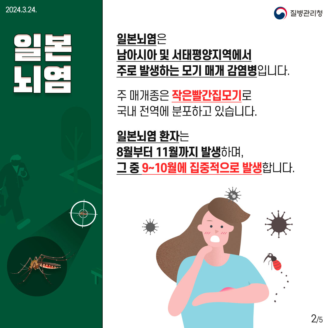 [일본뇌염] 일본뇌염은 남아시아 및 서태평양지역에서 주로 발생하는 모기 매개 감염병입니다. 주 매개종은 작은빨간집모기로 국내 전역에 분포하고 있습니다. 일본뇌염은 8월부터 11월까지 발생하며, 그중 9~10월에 집중적으로 발생합니다.