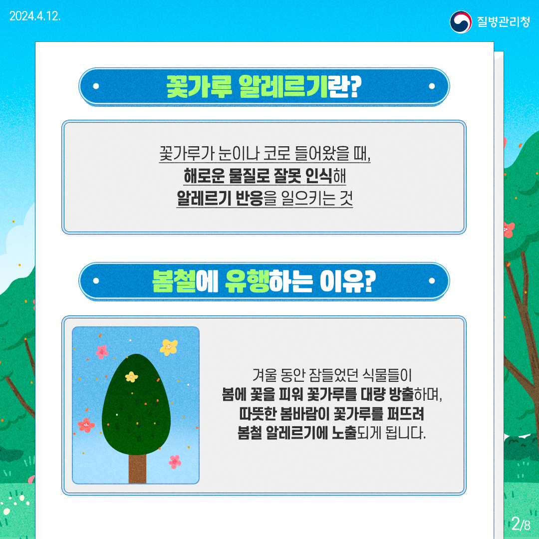 질병관리청 [꽃가루 알레르기란?]  꽃가루가 눈이나 코로 들어왔을 때,

      해로운 물질로 잘못 인식해
      
      알레르기 반응을 일으키는 것
      
      봄철에 유행하는 이유?
      
      겨울 동안 잠들었던 식물들이
      
      봄에 꽃을 피워 꽃가루를 대량 방출하며, 따뜻한 봄바람이 꽃가루를 퍼뜨려 봄철 알레르기에 노출되게 됩니다.
      
      2페이지 / 총8페이지