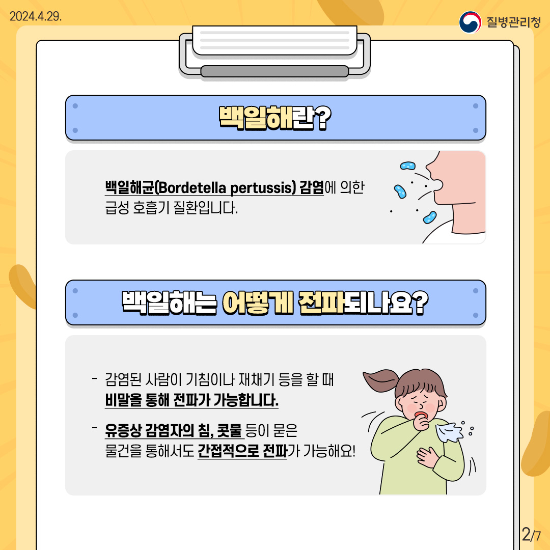 [백일해란?] 백일해균 감염에 의한 급성 호흡기 질환입니다. [백일해는 어떻게 전파되나요?] - 감염된 사람이 기침이나 재채기 등을 할 때 비말을 통해 전파가 가능합니다. - 유증상 감염자의 침, 콧물 등이 묻은 물건을 통해서도 간접적으로 전파가 가능해요!