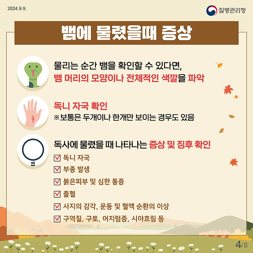  2024.9.9
    질병관리청
    
    
    뱀 물렸을 때 증상
    ·물리는 순간 뱀을 확인할 수 있다면, 뱀 머리의 모양이나 전제적인 색깔을 파악
    ·독니 자국 확인 ※보통은 두개이나 한개만 보이는 경우도 있음
    ·독사에 물렀을 때 나타나는 증상 및 징후 확인
     독니자국 / 부종 발생 / 붉은피부 및 심한 통증 / 출혈 / 사지의 감각, 운동 및 혈액 순환의 이상 / 구역질, 구토, 어지럼증, 시야흐림 등
    
    
    4페이지 / 총 8페이지 중
    
