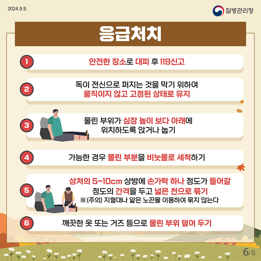 2024.9.9
    질병관리청
    
    응급치치
    1.안전한 장소로 대피 후 119신고
    2. 독이 전신으로 퍼지는 것을 막기 위하여 움직이지 않고 고정된 상태로 유지
    3. 물린 부위가 심장 높이 보다 아래에 위치하도록 앉거나 눕기
    4. 가능한 경우 물린 부분을 비눗물로 세적하기
    5. 상처의 5~10cm 상방에 손가락 하나 정도가 들어갈정도의 간격을 두고 넓은 천으로 묶기 ※(주의) 지혈대나 얇은 노끈을 이용하여 묶지 않는다
    6. 깨끗한 옷 또는 거즈 등으로 물린 부위 덮어 두기
    
    
    6페이지 / 총 8페이지 중
    