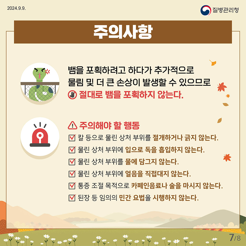 2024.9.9
    질병관리청
    
    
    ·주의사함
    뱀을 포획하려고 하다가 추가적으로 물림 및 더 큰 손상이 발생할 수 있으므로 절대로 뱀을 포획하지 않는다.
    ·주의해야 할 행동
    -칼 등으로 물린 상서 부위를 절개하거나 긁지 않는다.
    -물린 상처 부위에 입으로 독을 흡입하지 않는다.
    -물린 상서 부위를 물에 담그지 않는다.
    -물린 상처 부위에 얼음을 직접대지 않는다.
    -통증 조절 목적으로 카페인음료나 술을 마시지 않는다.
    -된장 등 임의의 민간 요법을 시행하지 않는다.
    
    
    
    7페이지 / 총 8페이지 중
    