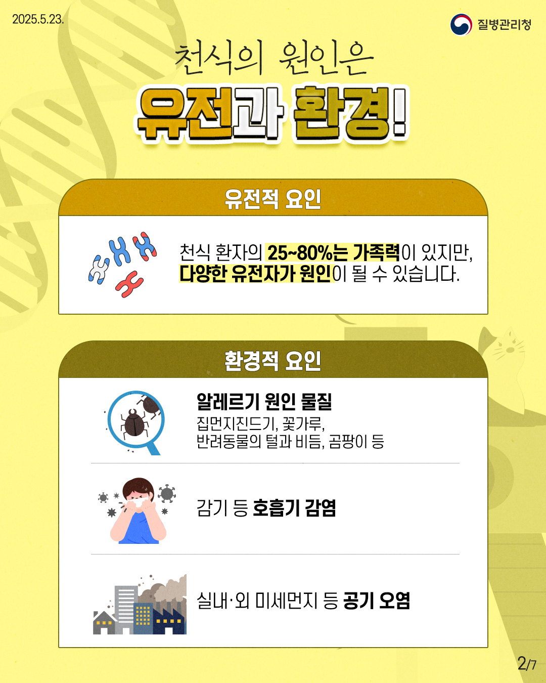 2025.5.23. 질병관리청 2P 천식의 원인은 유전과 환경! [유전적 요인] 천식 환자의 25~80%는 가족력이 있지만, 다양한 유전자가 원인이 될 수 있습니다. [환경적 요인] - 알레르기 원인 물질 : 집먼지진드기, 꽃가루, 반려동물의 털과 비듬, 곰팡이 등 - 감기 등 호흡기 감염 - 실내·외 미세먼지 등 공기 오염