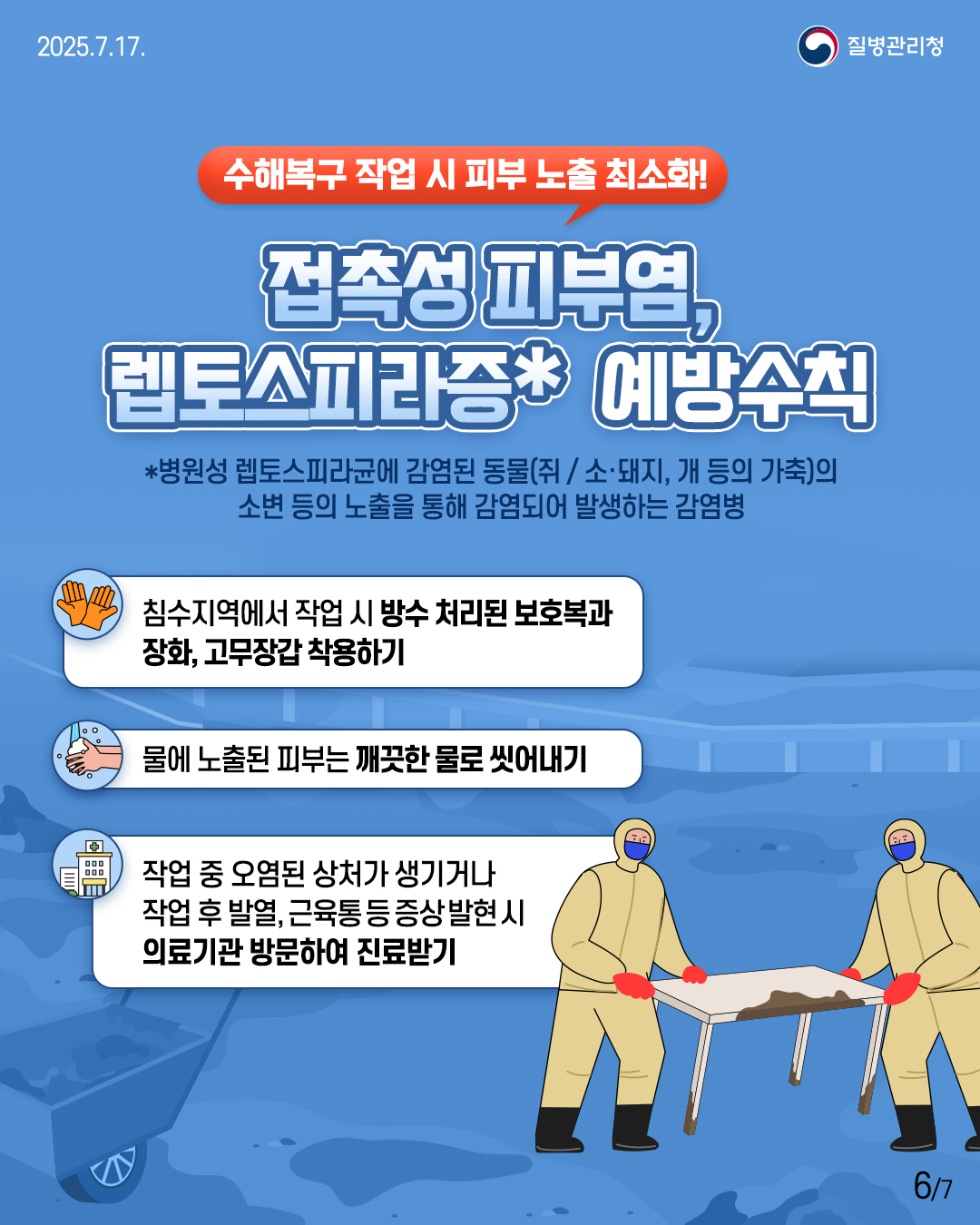 2025.07.17 질병관리청 6p 수해복구 작업 시 피부 노출 최소화! [접촉성 피부염, 파상풍, 렙토스피라증* 예방수칙] *병원성 렙토스피라균에 감염된 동물(쥐 / 소·돼지, 개 등의 가축)의 소변 등의 노출을 통해 감염되어 발생하는 감염병  침수지역에서 작업 시 방수 처리된 보호복과  장화, 고무장갑 착용하기 물에 노출된 피부는 깨끗한 물로 씻어내기 작업중 오염된 상처가 생기거나 작업 후 발열, 근육통 등 증상 발현 시 의료기관 방문하여 진료받기