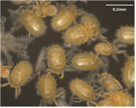 external_image external_image