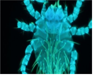 external_image external_image