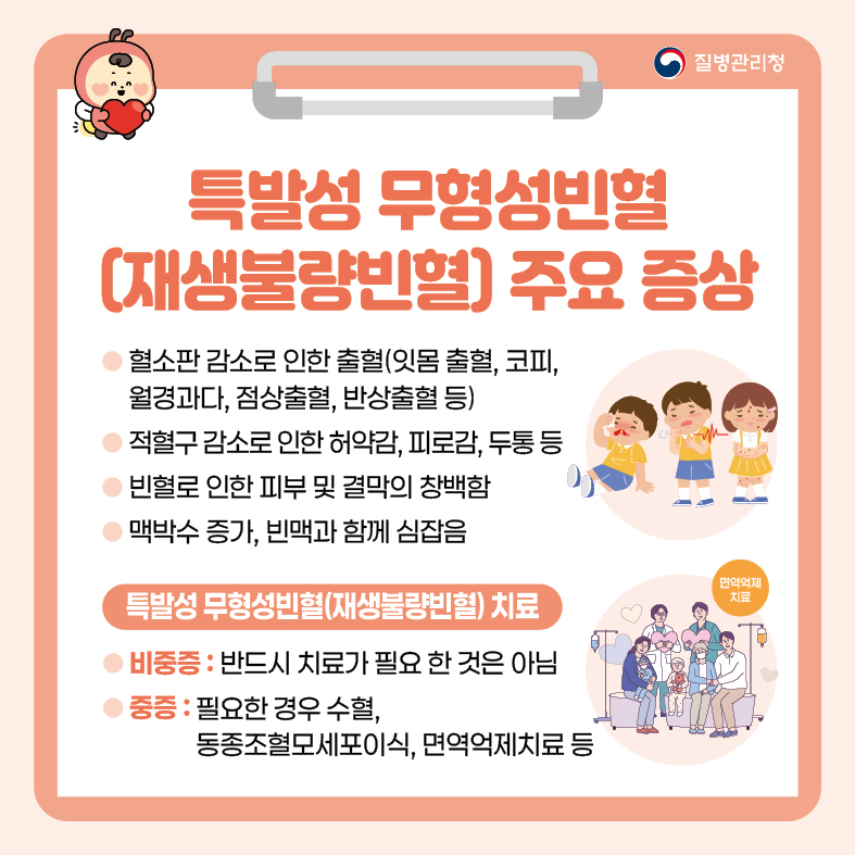 특발성 무형성빈혈(재생불량빈혈) 주요 증상 - 혈소판 감소로 인한 출혈(잇몸 출혈, 코피, 월경과다, 점상출혈, 반상출혈 등) - 적혈구 감소로 인한 허약감, 피로감, 두통 등 - 빈혈로 인한 피부 및 결막의 창백함 - 맥박수 증가, 빈맥과 함께 심잡음 <특발성 무형성빈혈(재생불량빈혈) 치료> - 비중증 : 반드시 치료가 필요한 것은 아님 - 중증 : 필요한 경우 수혈, 동종조혈모세포이식, 면역억제치료 등