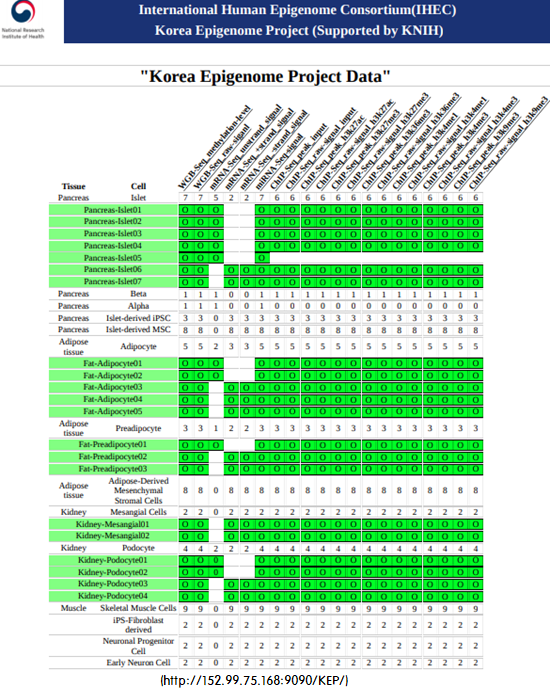 국립보건연구원은 International Human Epigenome Consortium에 참여하여 50여종의 정보를 생산하여 컨소시엄에 기탁할 것을 약정하였습니다. 생산되는 정보로는 유전자발현량을 알 수 있는 mRNA sequencing, 유전자발현을 조절하는 whole genome bisulfite sequencing, miRNA sequencing, input과 6종의 antibody인 h3k27ac, h3k27me3, h3k36me3, h3k4me1, h3k4me3, h3k9me3에 대한 Chromatin Immuno Precipitation sequencing 데이터가 있습니다. 해당 10종의 데이터를 컨소시엄의 가이드라인에 따라 데이터를 정제하고 가공했으며, 총 57종의 가공된 데이터는 컨소시엄의 data portal을 통해 공개될 예정입니다.