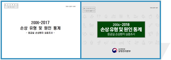 손상 유형 및 원인통계(2006년~2017) 표지, 손상 유형 및 원인 통계(2006~2018) 표지