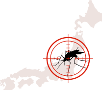 일본뇌염 관련 일러스트