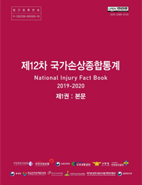  국가손상종합통계 제1권 : 본문
